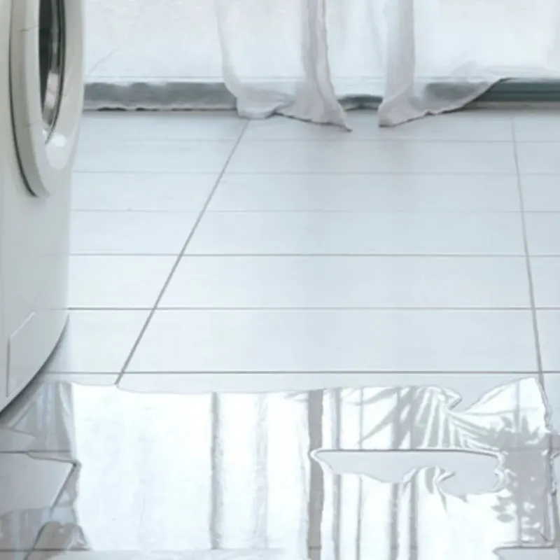Appliance Leak Cleanup in Belgium, WI