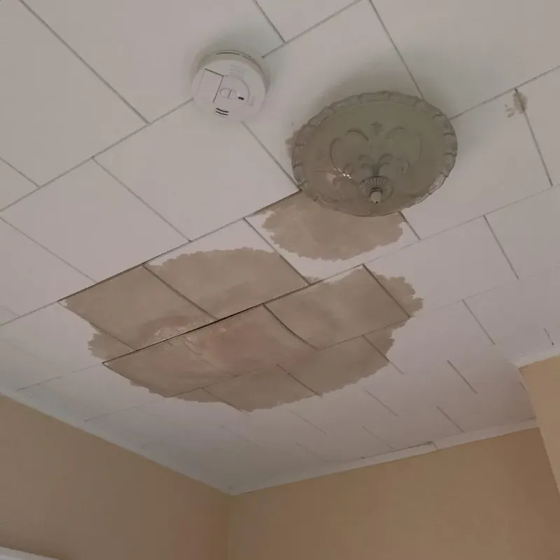 Ceiling Water Damage Repair in Belgium, WI