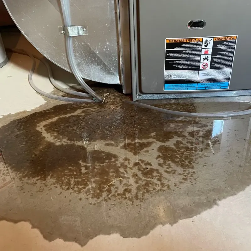 Pipe Burst and Leak Restoration in Belgium, WI